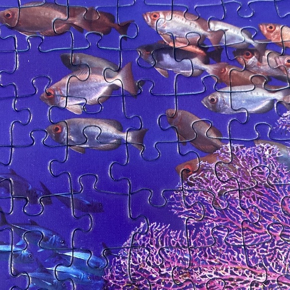 Ravensburger 1000 piece puzzle “Family of Dolphins” 2010 - Picture 4 of 8